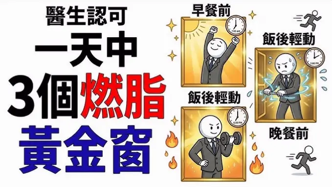 缺乏科学指导？一人一策方案如何实现高效燃脂？